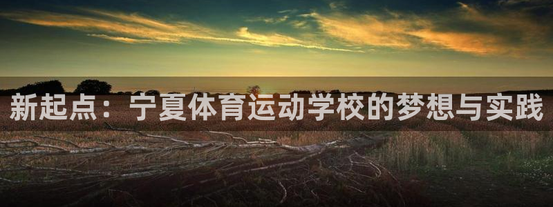 欧亿体育官方正版app娱乐40996:新起点:宁夏体育运动学