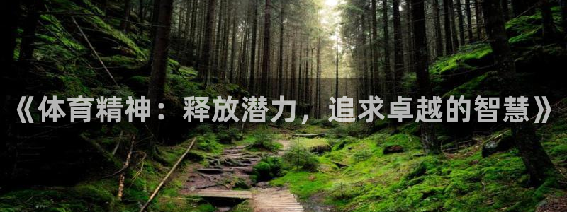 oety欧亿体育官网下载平台注册要钱吗是真的吗:《体育精神: