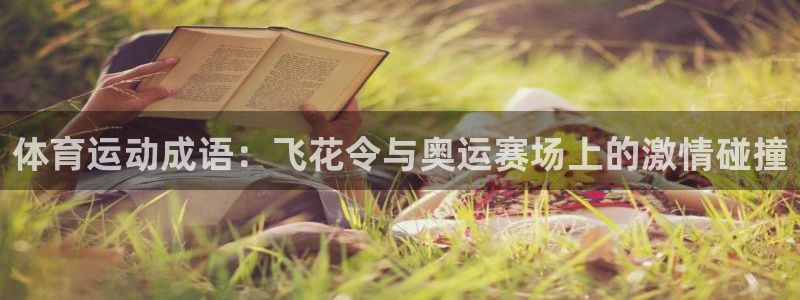 oety欧亿体育官网下载平台假的吗是真的吗:体育运动成语:飞