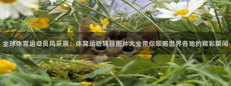 海南oety欧亿体育官网下载发展怎么样:全球体育运动员风采展